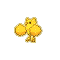 Golden Pom-Pom Oricario